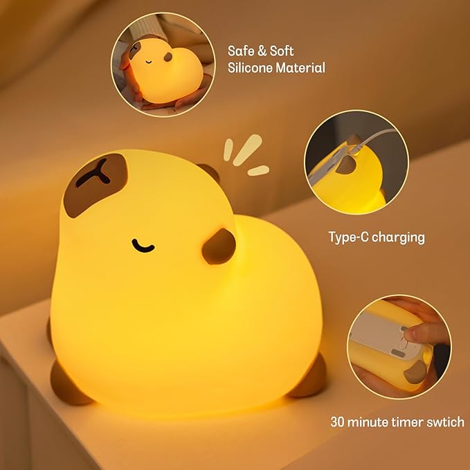 Kids Night Light 3 Light Modes, Dimmable with Timer, Touch Control, Silicone, USB Rechargeable. The Wonder Mart