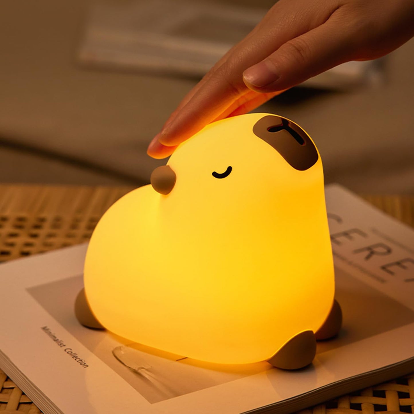 Kids Night Light 3 Light Modes, Dimmable with Timer, Touch Control, Silicone, USB Rechargeable.