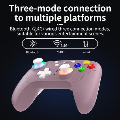 Anbernic RG P01 Retro Games Controller Bluetooth Wireless, Wired Gamepad with Hall Effect Joystick/Hall Triggers Joystick Light Control RGP01 Xbox Controller for PC,Steam,Android (Radiant Purple)